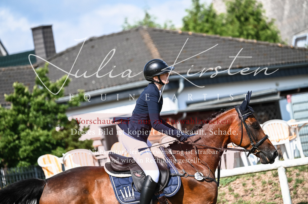 DSC_7869 | Pferde- und Turnierfotografie in Westsachsen. Pferdeportraits, Auftragszeichnungen und intuitive Kunst.