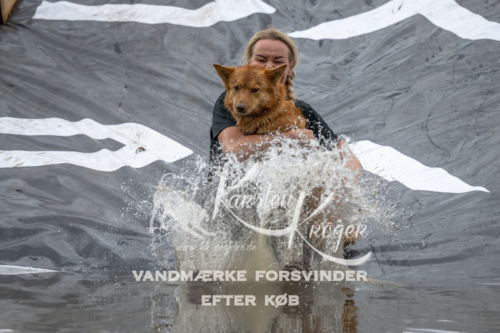1218_ZZ94590 | kk-dogfotos