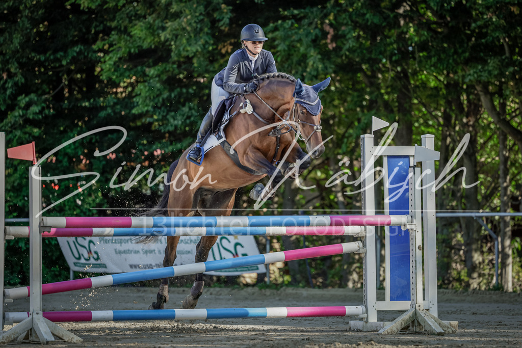 20250906-_3LI3203 | Tierfotografie Pferde, Hunde, Katzen, Haustiere.
Turnierfotografie Reitturniere, Reiten, Springreiten, Dressur in Hanau, dem Main-Kinzig-Kreis und dem Rhein-Main- Gebiet um Frankfurt