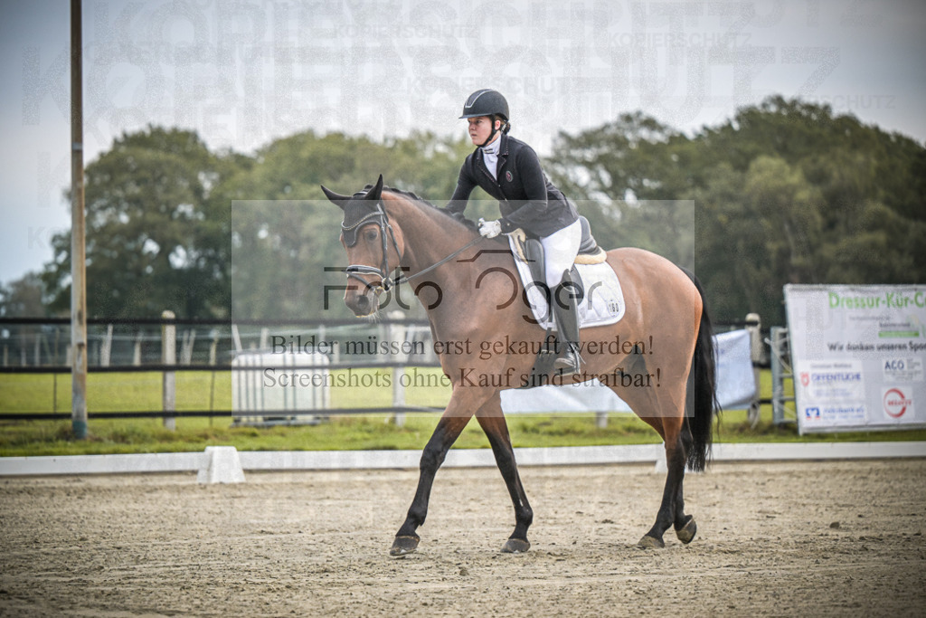 DOS_0773 | Entdecke hochwertige Reitturnierfotos von Foto Oger. Professionell, emotional und authentisch – jetzt Lieblingsmomente im Shop bestellen.Deutschlandweite Turnierfotografie. - Realisiert mit Pictrs.com