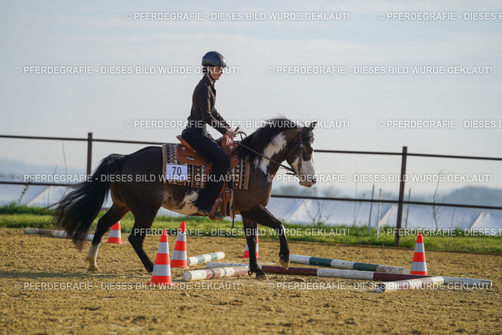 DSC00722 | Pferdegrafie