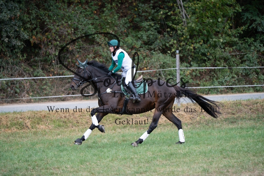 A7V00482 | Pferdefotograf