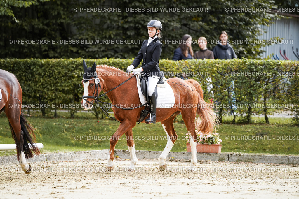 DSC05345 | Pferdegrafie