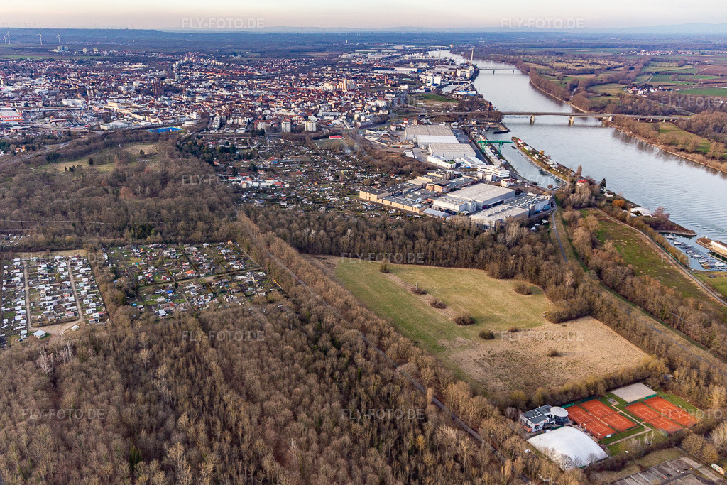 Luftbild: Wäldchen Hinter dem Tennisclub Bürgerweide in Worms im Bundesland Rheinland-Pfalz in Deutschland. Foto: IMG_130546.jpg vom 12.02.2022 durch Werner Riehm/FLY-FOTO.de