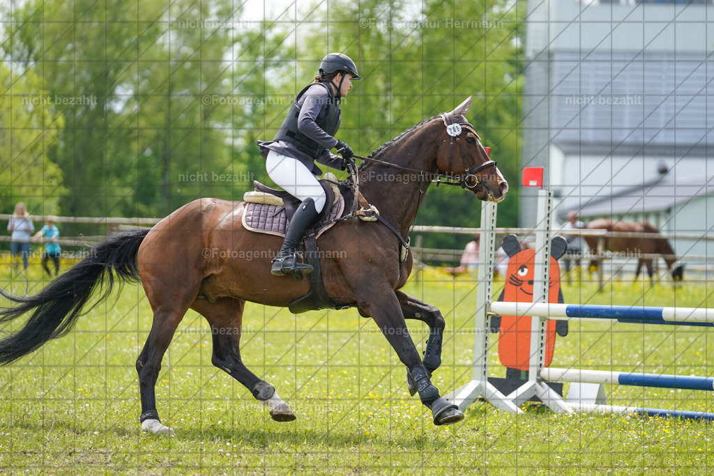 20230521-FAH06296 | Frühjahrsturnier, Landsberg am Lech, 2023, Reitclub Landsberg, Turnierbilder, Fotos Turnier Landsberg, Fotoagentur Herrmann, Turnierfotografen Bayern, Reitsport Fotograf, Pferde Fotograf