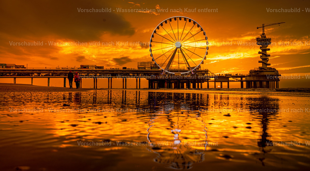 DSC00628-Enhanced-NR-3 | marcuslinek