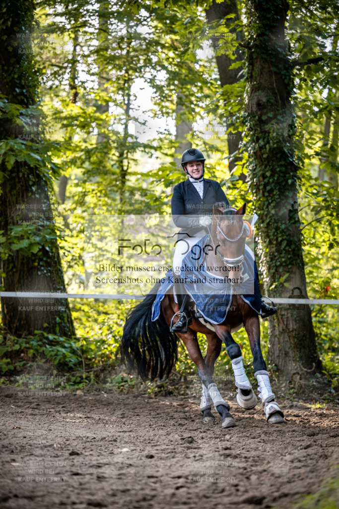 2026-10-Helle-14-0023 | Entdecke hochwertige Reitturnierfotos von Foto Oger. Professionell, emotional und authentisch – jetzt Lieblingsmomente im Shop bestellen.Deutschlandweite Turnierfotografie. - Realisiert mit Pictrs.com