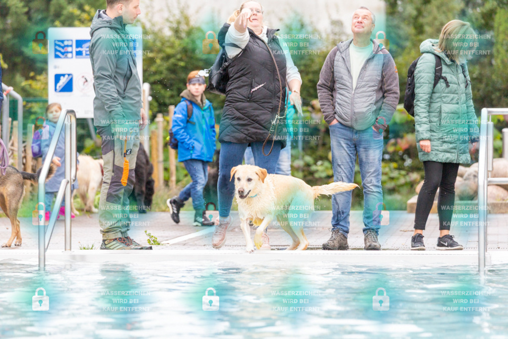 _HP_7180_1000o | HetPix, HetPix Fotodesign, Fotografie, Fotodesign, Webshop, Sportfotografie, Portraitfotografie, Onlineshop, Sportfotografie, Polch, Motorsportfotografie, Eventfotografie