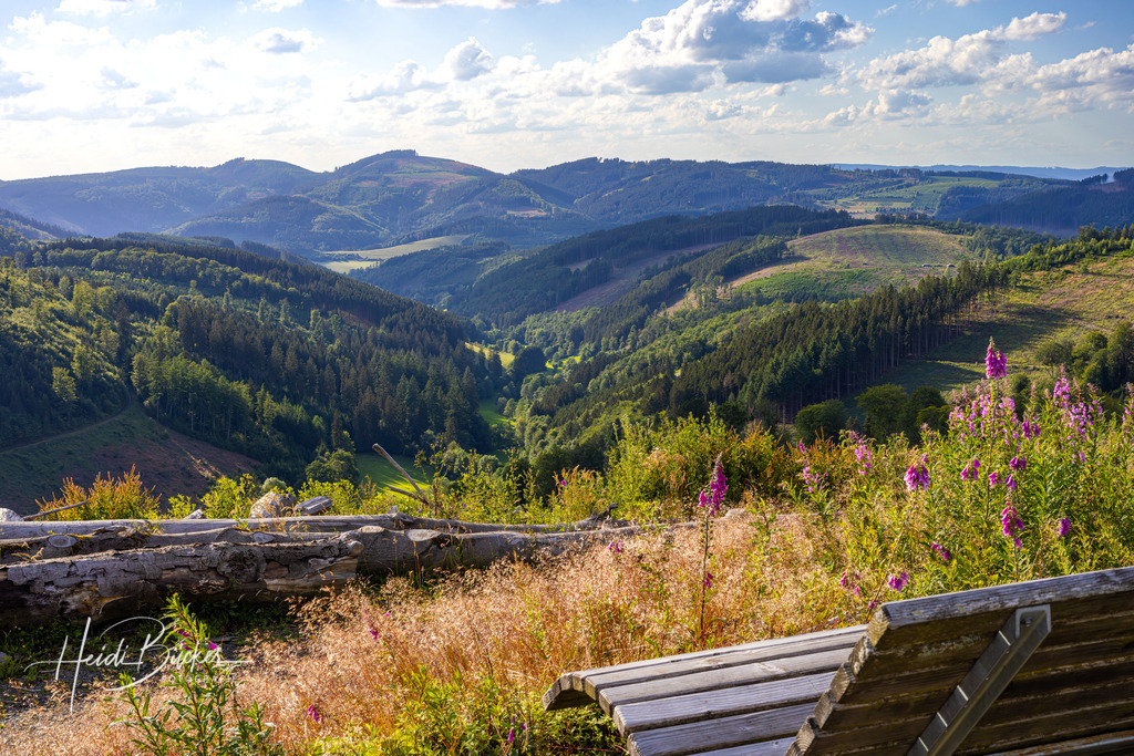 Aussicht vom Großen Heidkopf bei Jagdhaus | Aussicht vom Großen Heidkopf bei Jagdhaus im Schmallenberger Sauerland - Realisiert mit Pictrs.com