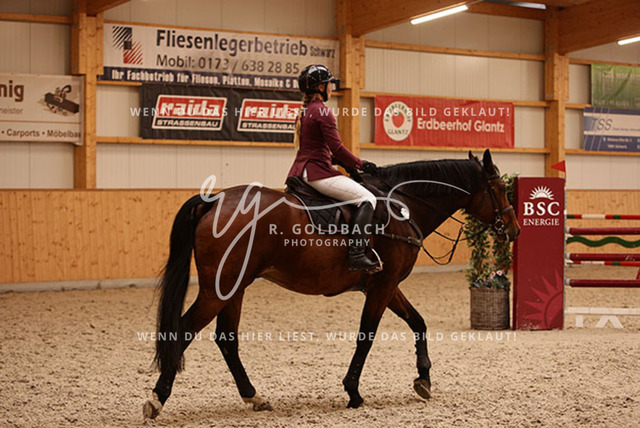 1J2A9488Juliane Weihs_ Hell Boy van de Zuuthoeve Z_ Kn278_ Glantz_ Hohen Wieschendorf | Foto- und Videografie für alles rund ums Pferd. Hochwertige Bilder und Videos vom Spring- und Dressurreiten, Voltigieren & mehr. Jetzt aktuelle Veranstaltungen und Preise im Shop ansehen. - Realisiert mit Pictrs.com