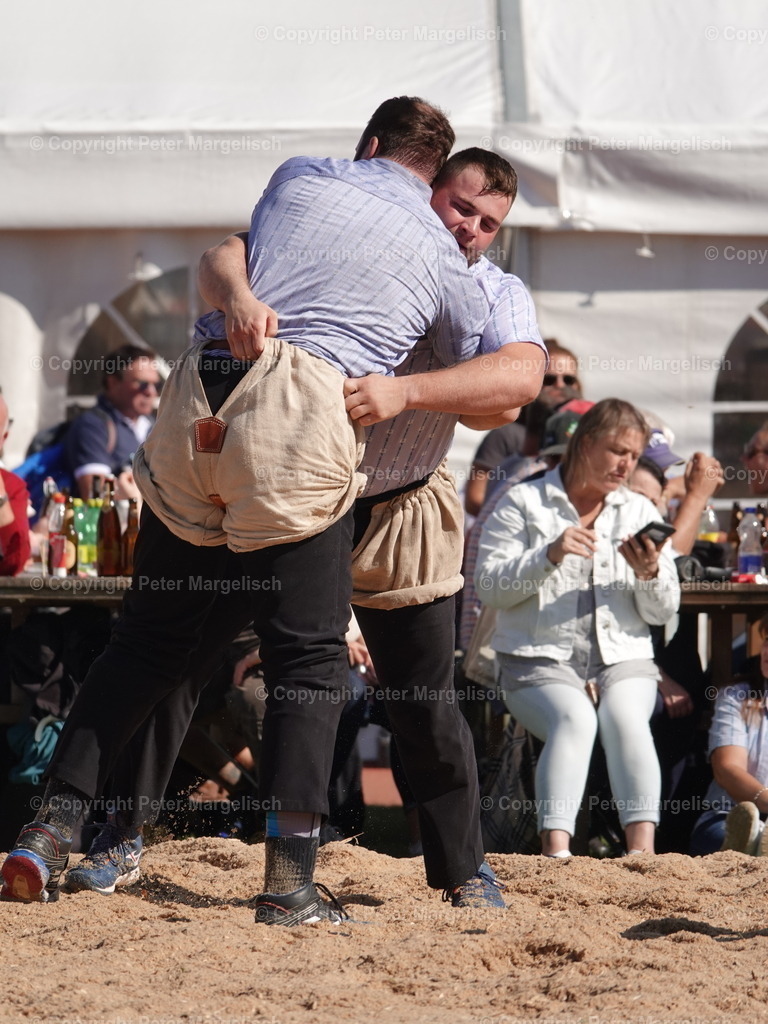 DSC05591 | Schwingen - Realisiert mit Pictrs.com