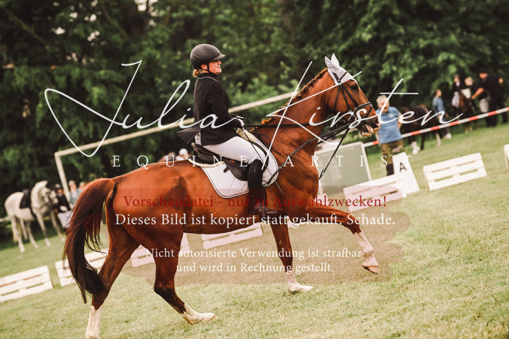 DSC_5127 | Pferde- und Turnierfotografie in Westsachsen. Pferdeportraits, Auftragszeichnungen und intuitive Kunst.