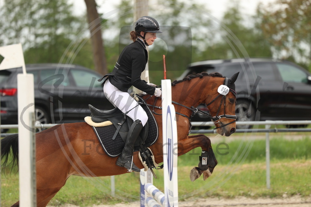 994A8808 | sabrinanicolaifotografie - Realisiert mit Pictrs.com