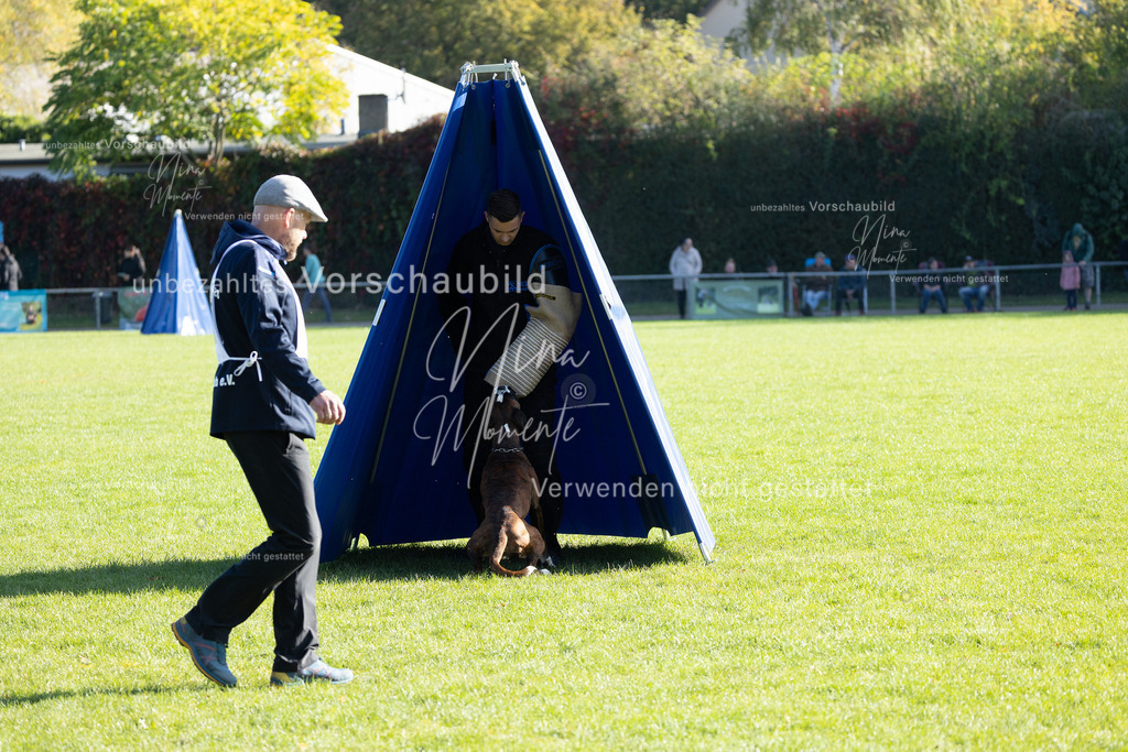 _16A5103 | Einzigartige Fotos von Hunden & Menschen –Actionfotos, Portraits, Vereinsaufnahmen & Paarshootings – authentisch, lebendig & mit Herz.