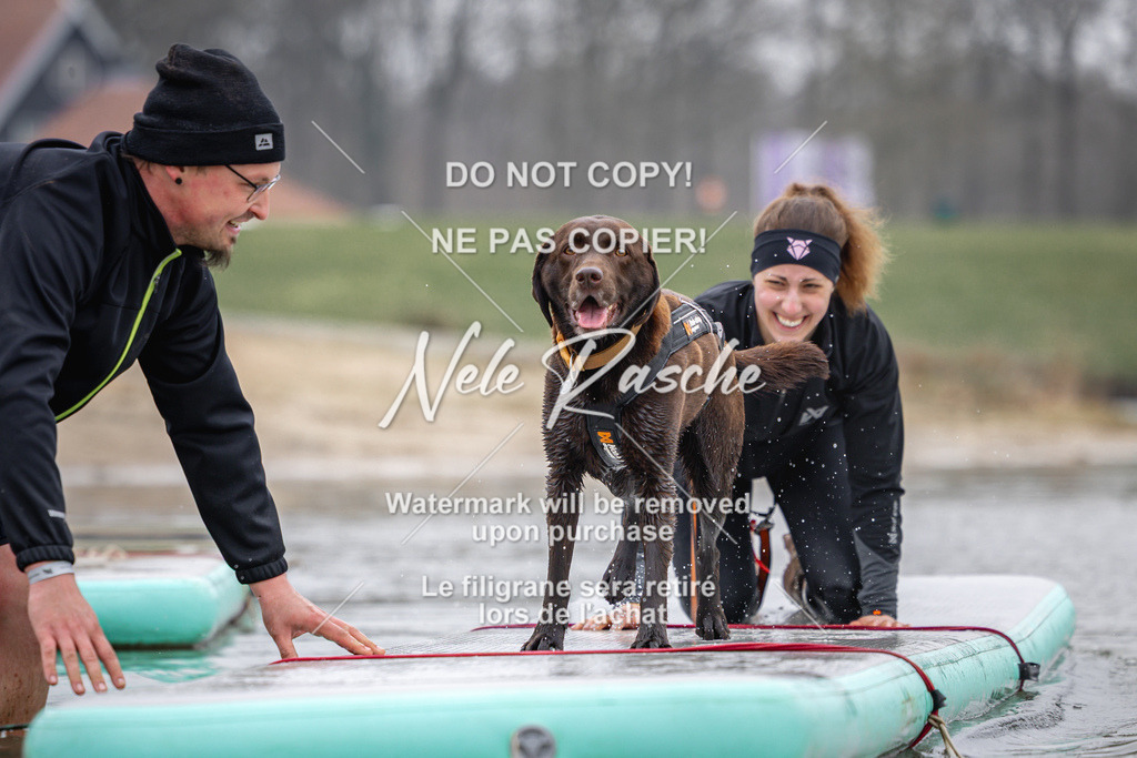 nelerasche_Hulsbeek_Sa1130-1230_350 | nelerasche