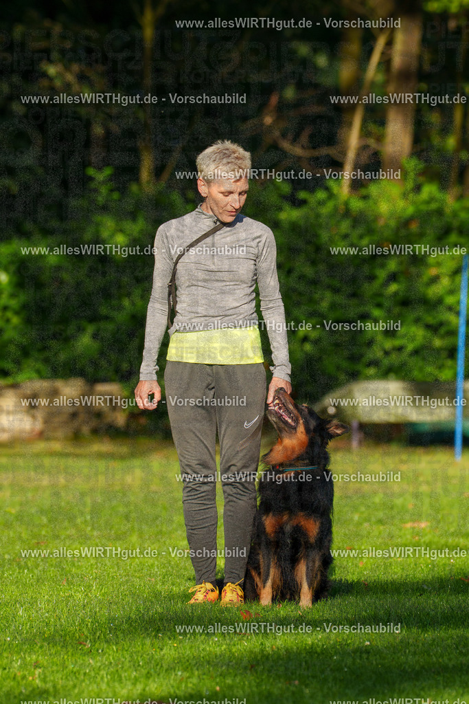 THS_Turnier_27-09-2026-allesWIRTHgut_Tierfotografie-7R505342 | Professionelle Tierfotografie in Mönchengladbach von Daniel Wirth (allesWIRTHgut). Liebevolle & natürliche Bilder von Hunden & Katzen für unvergessliche Erinnerungen.
