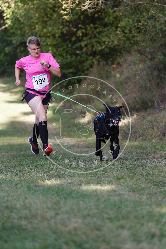 0L8A5635 | Hundefotografie, Tierfotograf, Pfotenfotografie, Fotoshooting Hund, Hunde Portrait, Hundesport, Hundeportraits, Heideshooting, Hunde, Sportfotograf, Hundefotograf, Turnierhundsport, THS,  - Realisiert mit Pictrs.com