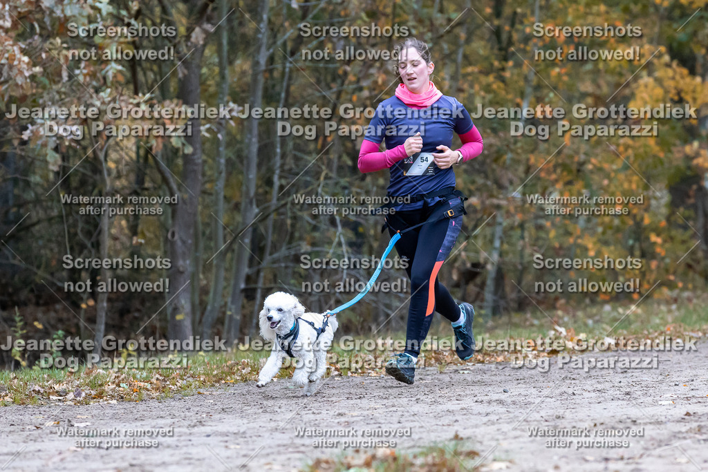 Dog Paparazzi - SD CaniX Championship 2025-365 | Dog Paparazzi Jeanette Grottendiek Fotografie & Videografie