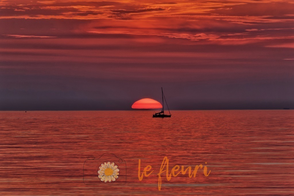 IMG_2532 | Dies ist der Shop von Florian Blum - le fleuri. Langenthal, Bern, Schweiz. Sie können hier meine oder ihre eigenen Fotos als Fotoprodukte kaufen. Tassen, Schlüsselanhänger, Taschen etc. können Sie hier gestalten.  - Realisiert mit Pictrs.com