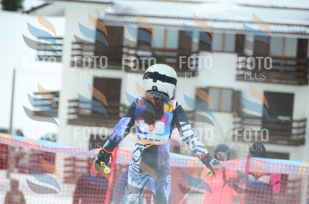 DSC_0699 | holidayphoto