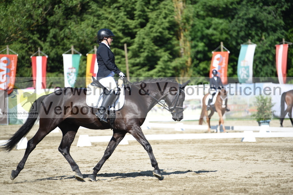 DSC_7543 | equestrian-live-com