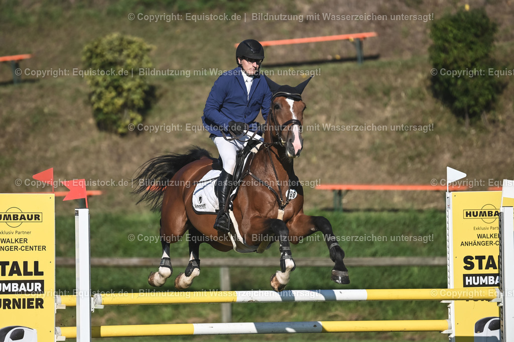 20230908_14-15_Springpferde-A_0056 | equistock