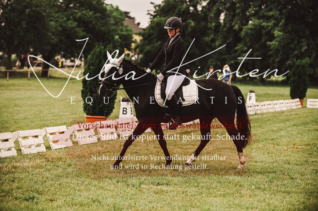 DSC_4819 | Pferde- und Turnierfotografie in Westsachsen. Pferdeportraits, Auftragszeichnungen und intuitive Kunst.