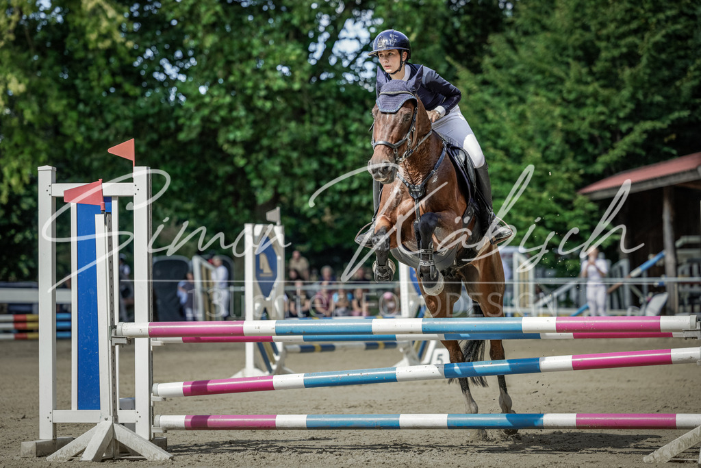 20250906-_3LI5958 | Tierfotografie Pferde, Hunde, Katzen, Haustiere.
Turnierfotografie Reitturniere, Reiten, Springreiten, Dressur in Hanau, dem Main-Kinzig-Kreis und dem Rhein-Main- Gebiet um Frankfurt