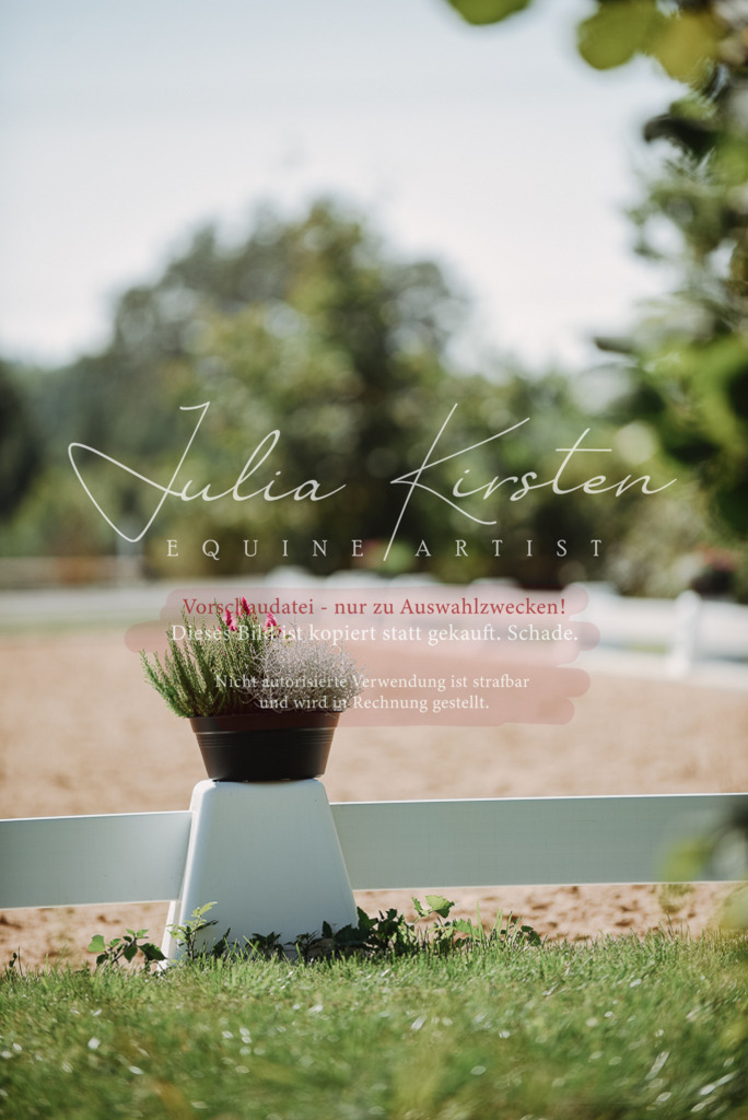 DSC_3388 | Pferde- und Turnierfotografie in Westsachsen. Pferdeportraits, Auftragszeichnungen und intuitive Kunst.