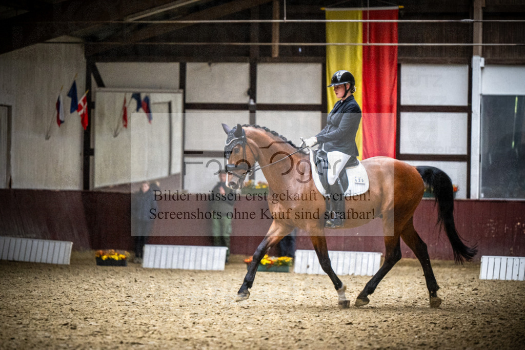 DOS_1081 | Reitturnier Lüdinghausen - Realisiert mit Pictrs.com
