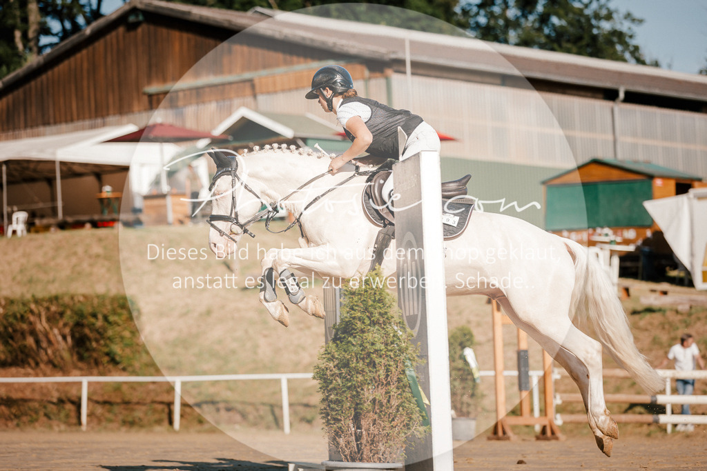 3I6A6258 | Stimmungsvolle Portraits und Reitsportfotografie im Ruhrgebiet und im Münsterland.

Pferdefotografie, Hundefotografie, Tierfotografie, Reportagen, Portraits von Tier und Mensch, Turnierfotografie in Bochum, Recklinghausen, Marl, Haltern am See, Dülmen.. - Realisiert mit Pictrs.com