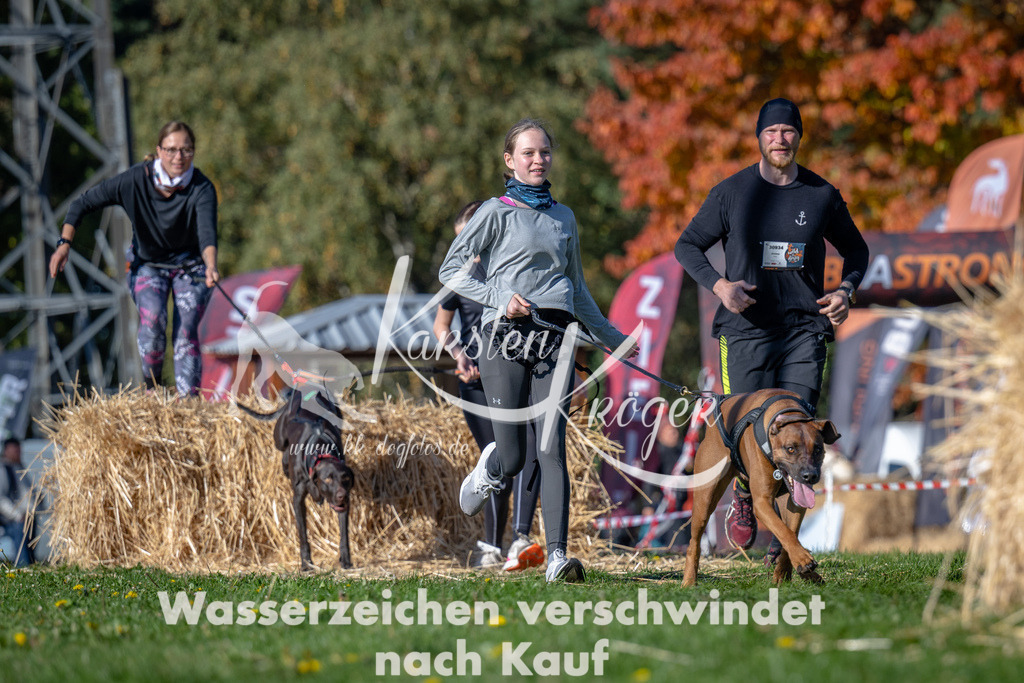 1117_ZZ93051 | kk-dogfotos