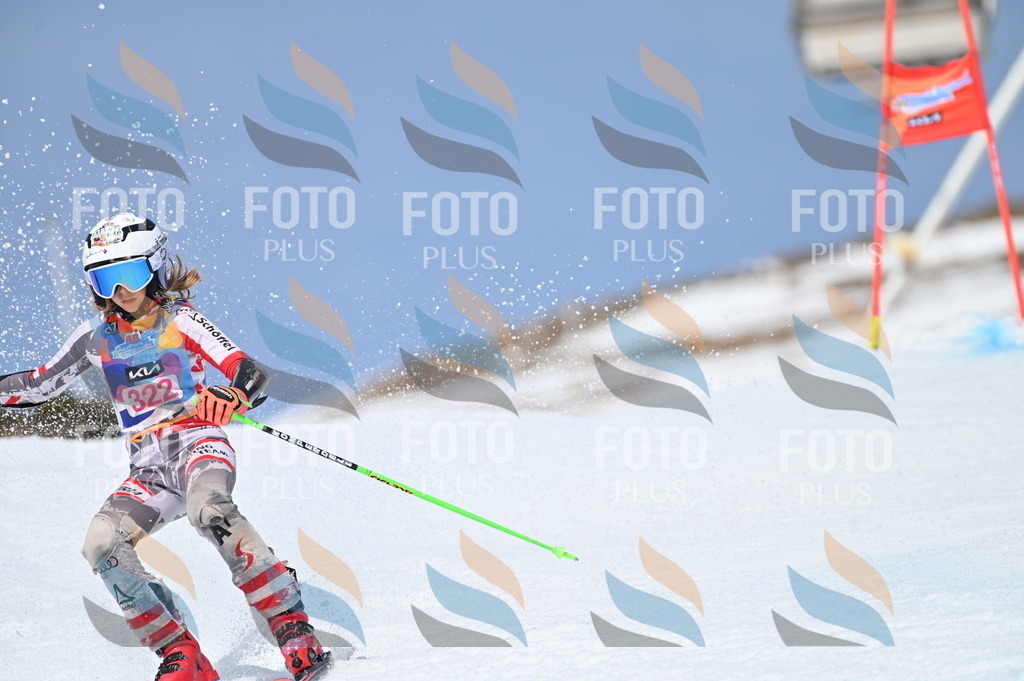 BGV_3140 | holidayphoto