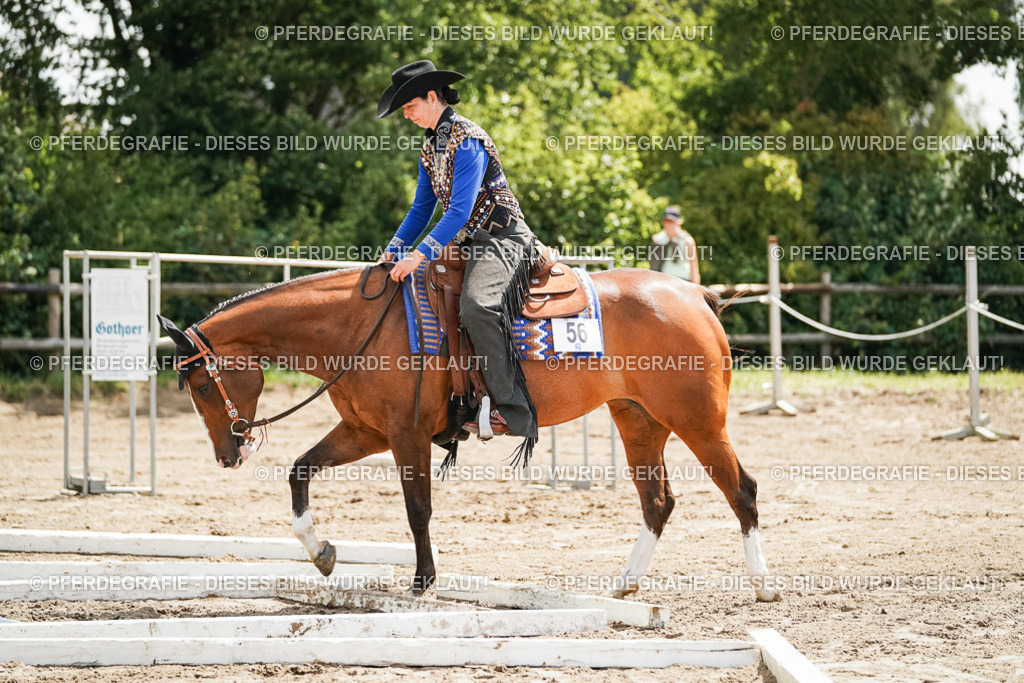 DSC06115 | Pferdegrafie