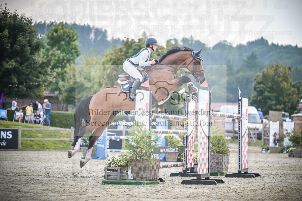 DOS_2956 | Entdecke hochwertige Reitturnierfotos von Foto Oger. Professionell, emotional und authentisch – jetzt Lieblingsmomente im Shop bestellen.Deutschlandweite Turnierfotografie. - Realisiert mit Pictrs.com