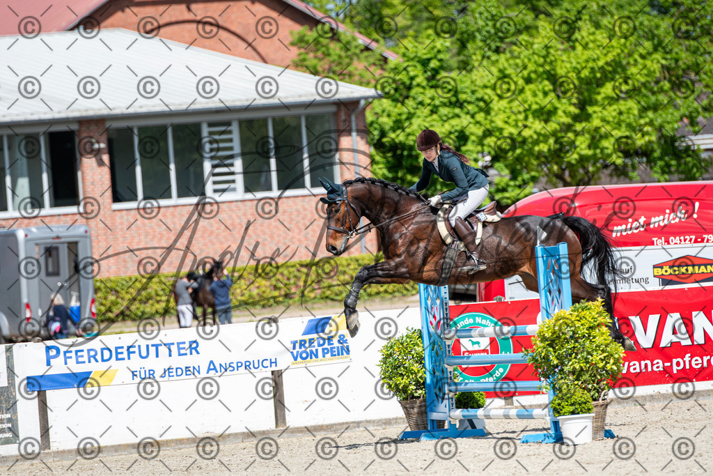 KPT_5198 | andre_photographic