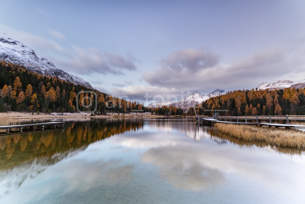 JB3A5437 | antonija-trupina - Realisiert mit Pictrs.com