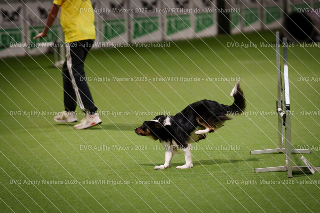 allesWIRTHgut_Tierfotografie-DVG_Agility_Masters_2026-07_21-7R507171 | Professionelle Tierfotografie in Mönchengladbach von Daniel Wirth (allesWIRTHgut). Liebevolle & natürliche Bilder von Hunden & Katzen für unvergessliche Erinnerungen.