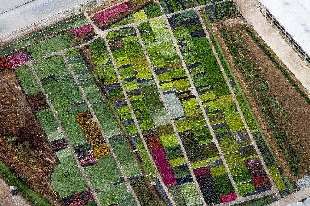 Aerial view: Nursery, flower breeding, perennial beds in Bigguro in Castiglion Fiorentino in the state Arezzo, Italy. – Photo: IMG_43305.jpg taken on 07/24/2011 by Werner Riehm/FLY-FOTO.com – Resolution of the original: 3349 x 2233 px