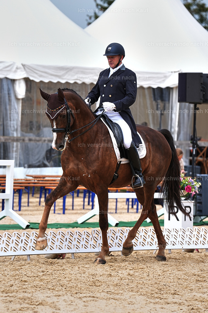 11-092-Dressur S___-Marixx-1565 | working equitationturnier fotograf videograf stoibphotography marixx film working equitation deutschland reitsport turnierfotografie eventfotografie equestrian events