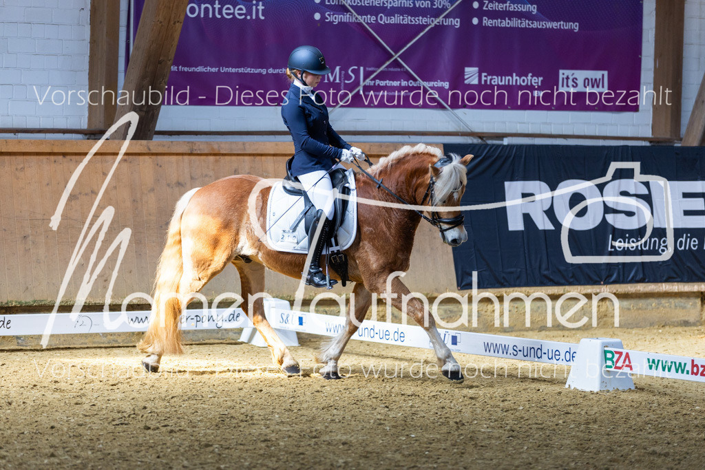 Sth-LPO25-DrR-L-123 | MomenTaufnahmen Pferdesportfotos