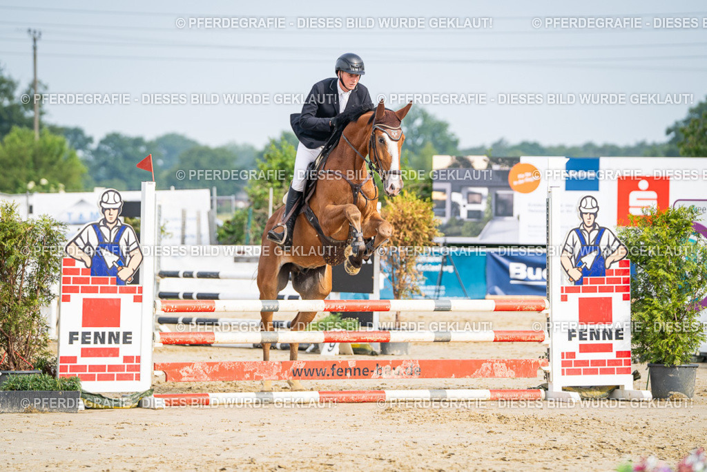 DSC09065 | Pferdegrafie