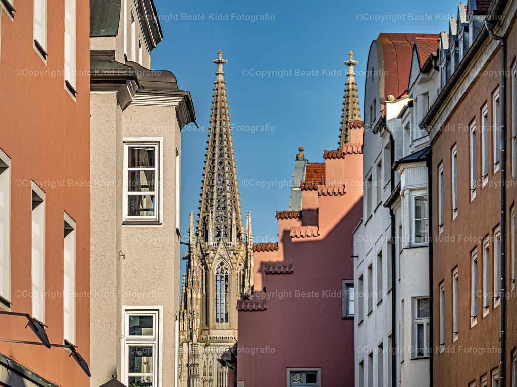 P1120926 | beatekidd-fotografie - Realisiert mit Pictrs.com