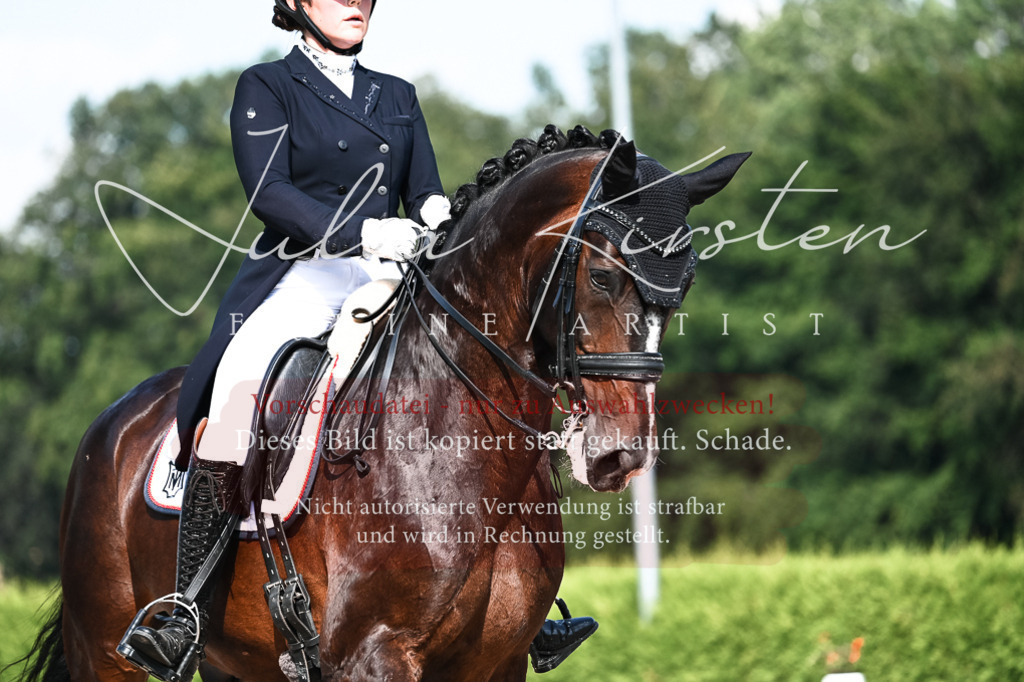 DSC_3357 | Pferde- und Turnierfotografie in Westsachsen. Pferdeportraits, Auftragszeichnungen und intuitive Kunst.