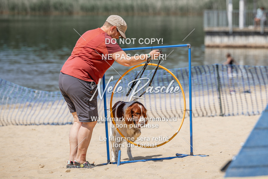 nelerasche_saBeachility_764 | nelerasche