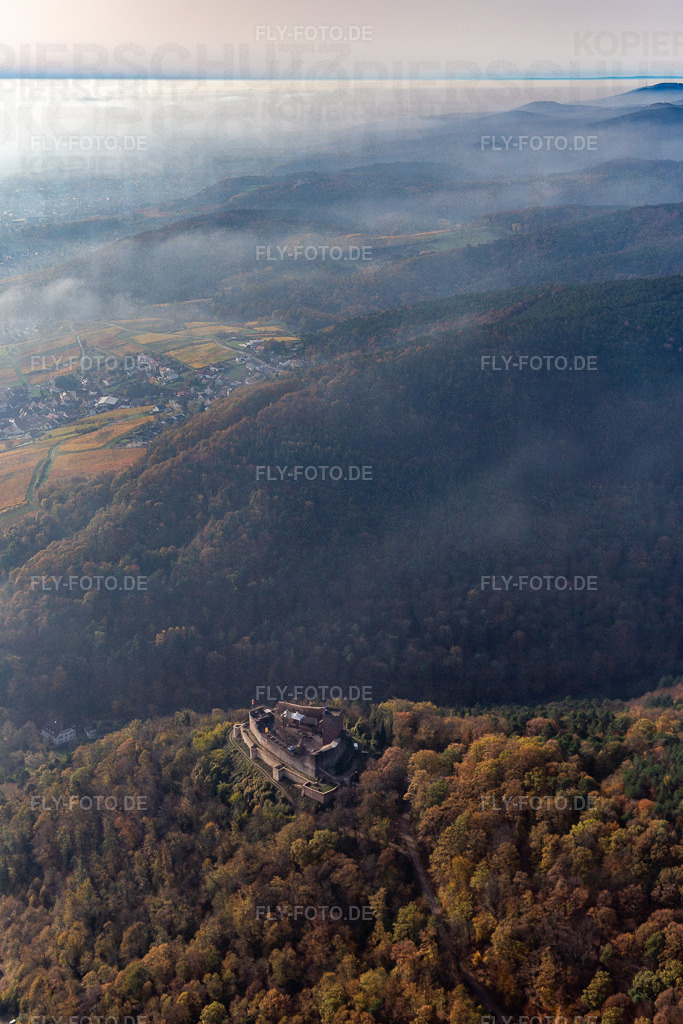 Burg Landeck | Luftbild: Burg Landeck in Klingenmünster im Bundesland Rheinland-Pfalz in Deutschland. Foto: IMG_123700.jpg vom 07.11.2020 durch ©2025 Werner Riehm fly-foto.de/copyright - Realisiert mit Pictrs.com
