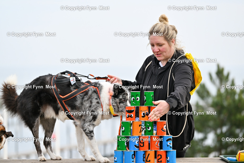 DSC_4393 | Hallo und herzlich Willkommen auf meiner Shop-Seite Fynn Most.

Ich wünsche Dir viel Spaß beim stöbern durch die Bilder, wenn Du Fragen hast oder Bilder vermisst, kannst du mir gerne eine Nachricht schreiben. - Realisiert mit Pictrs.com
