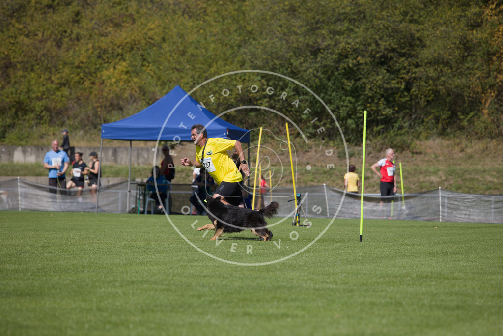 0L8A6390 | Hundefotografie, Tierfotograf, Pfotenfotografie, Fotoshooting Hund, Hunde Portrait, Hundesport, Hundeportraits, Heideshooting, Hunde, Sportfotograf, Hundefotograf, Turnierhundsport, THS,  - Realisiert mit Pictrs.com