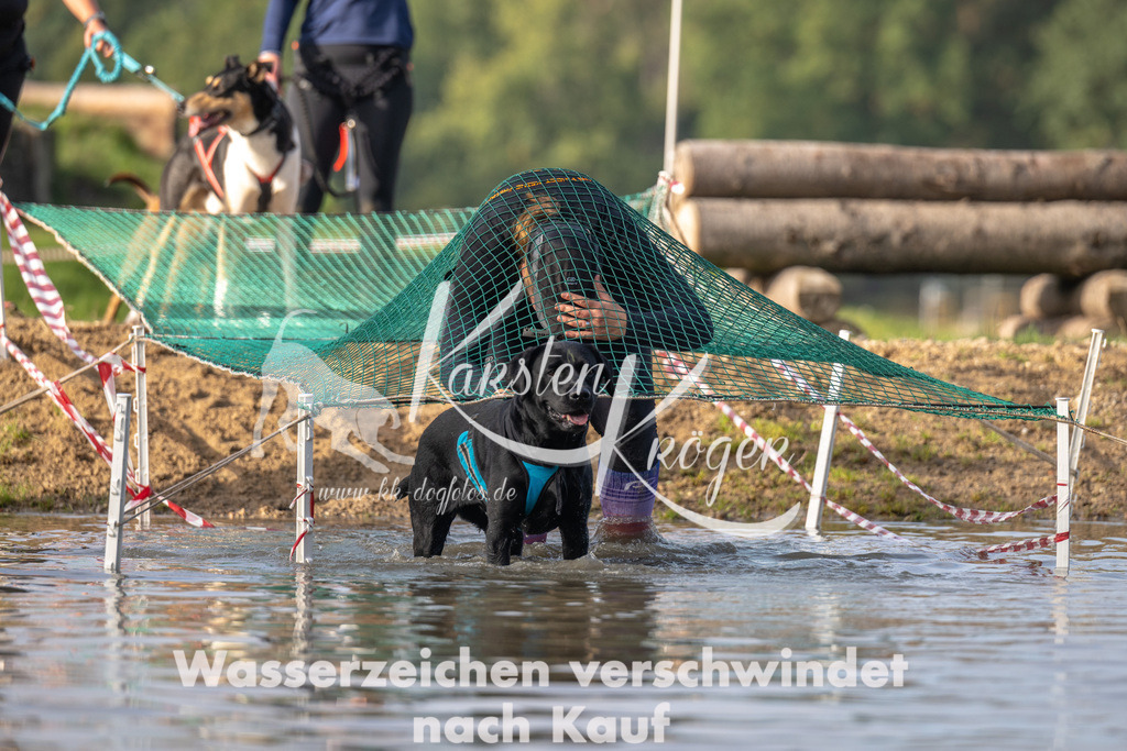 1011_ZZ92180 | kk-dogfotos