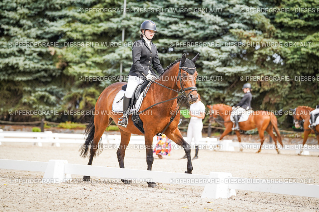 DSC02544 | Pferdegrafie